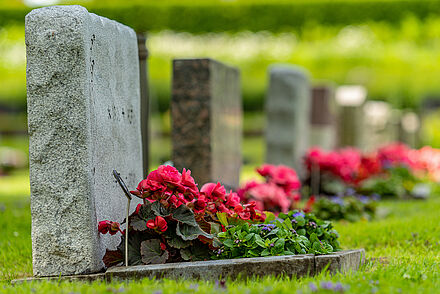 Foto | BDB Grabbepflanzung | iStock